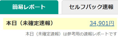 収益実績画像 34,901円